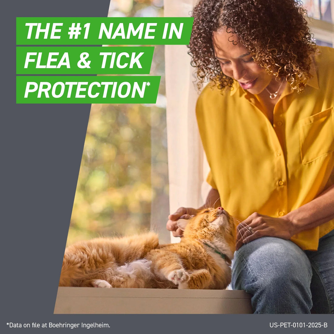 FRONTLINE Plus Flea & Tick Treatment for Cats Over 1.5 lbs | 6-Month Supply (6 Treatments)