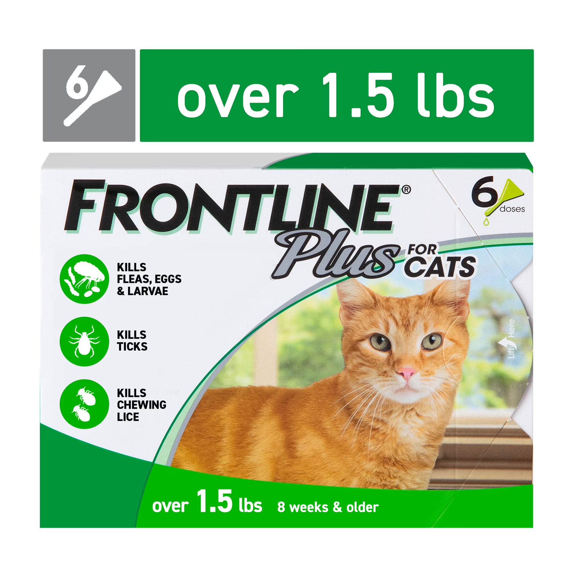 FRONTLINE Plus Flea & Tick Treatment for Cats Over 1.5 lbs | 6-Month Supply (6 Treatments)